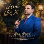 دانلود آهنگ کرمانجی جدید داوود یونسی به نام نازپری ۱۴۰۵ جدید