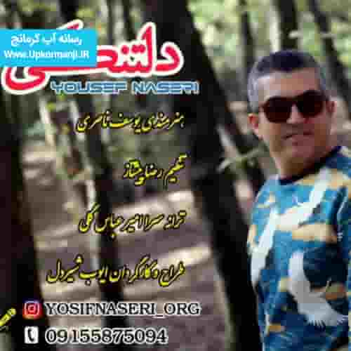 دانلود آهنگ جدید یوسف ناصری به نام دلتنگی ۱۴۰۳ جدید