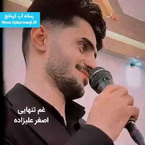 دانلود آهنگ جدید اصغر علیزاده به نام غم تنهایی ۱۴۰۳ جدید