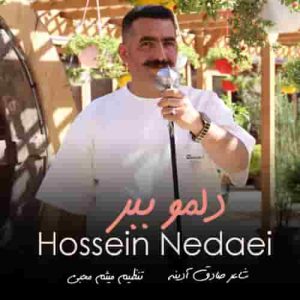دانلود آهنگ جدید حسین ندایی به نام دلمو ببر ۱۴۰۴ جدید
